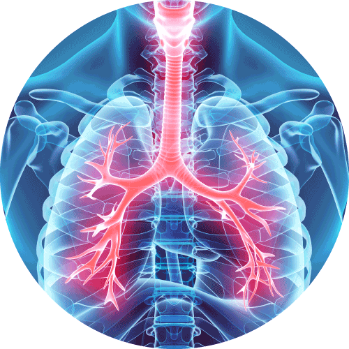 接近全禿的人士