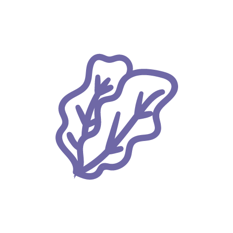 保持清淡的飲食習慣