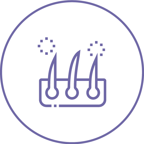 毛髮絕育不再生