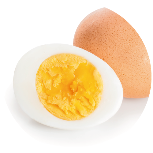 補充鐵質及蛋白質