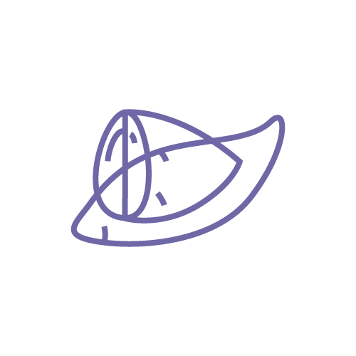 慎選脂肪及碳水