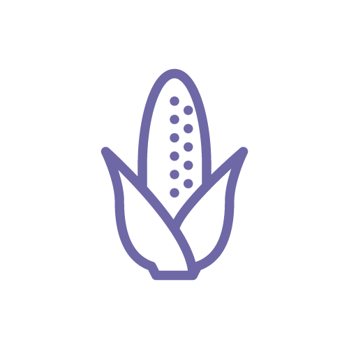 不吃根莖類蔬菜
